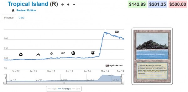 tropical island stock