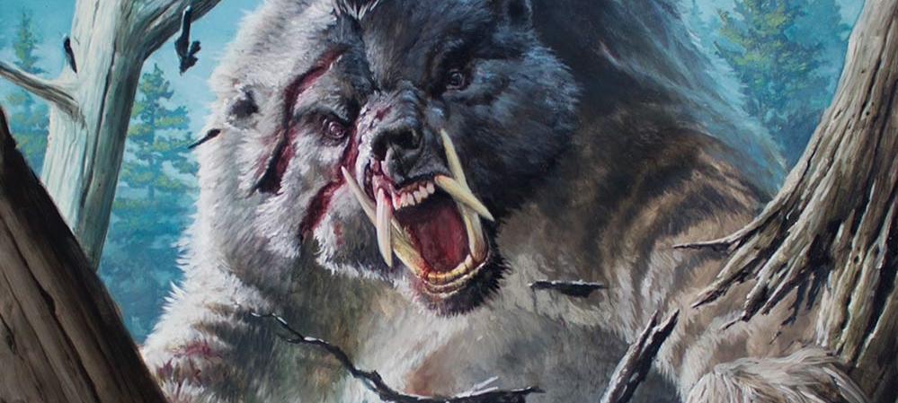 The Best Deck Nobody is Playing: When Bears Attack