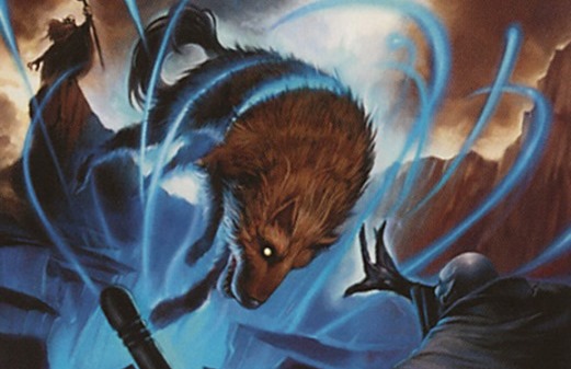 Shifting Roles: The Intricacies of Grixis Control