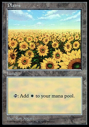 APAC Plains Sunflower