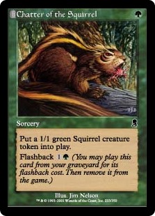 chatter-of-the-squirrel